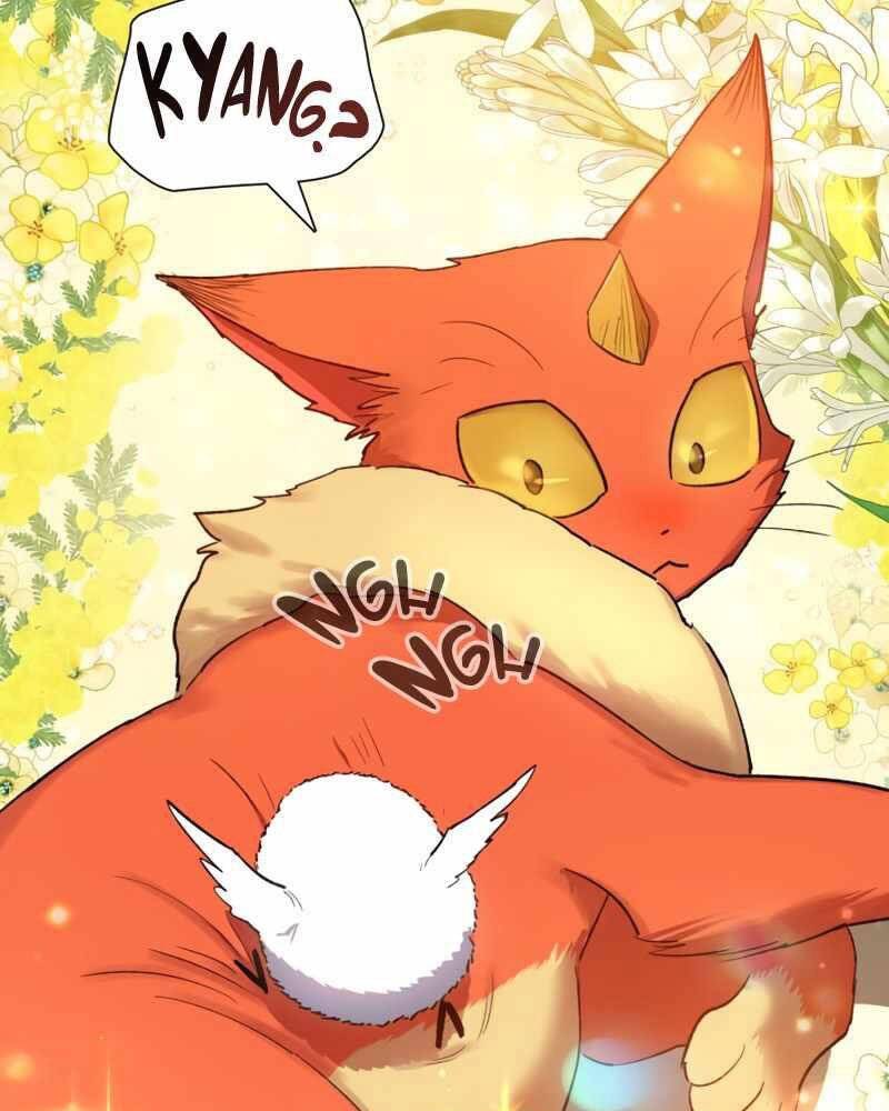 Những Ranker Cấp S Mà Tôi Nuôi Dưỡng Chap 51 - Next Chap 52