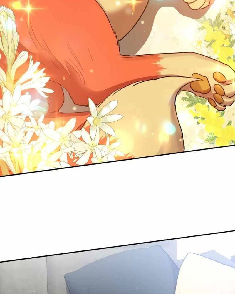 Những Ranker Cấp S Mà Tôi Nuôi Dưỡng Chap 51 - Next Chap 52
