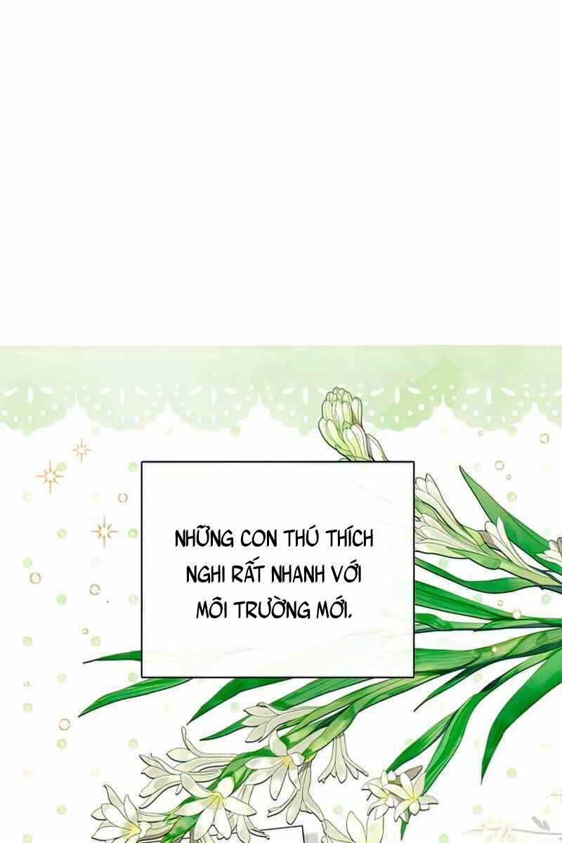 Những Ranker Cấp S Mà Tôi Nuôi Dưỡng Chap 57 - Next Chap 58