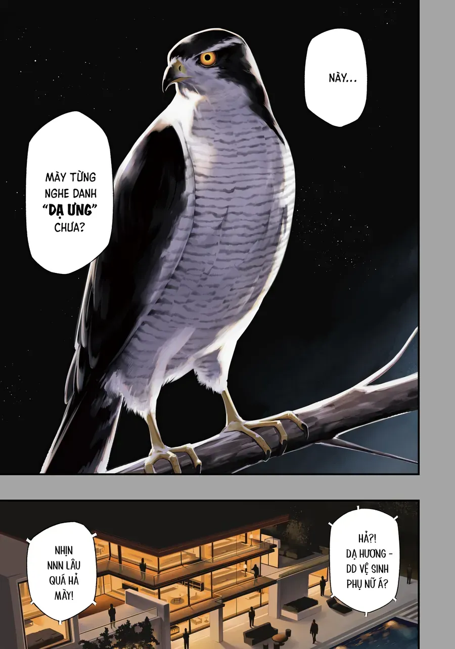 Nighthawk Returns Chap 1 - Next Chap 2