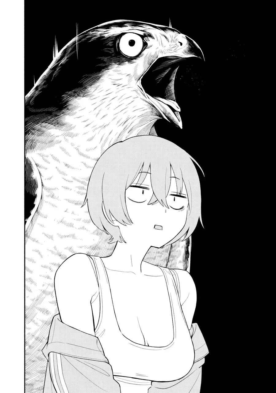 Nighthawk Returns Chap 1 - Next Chap 2