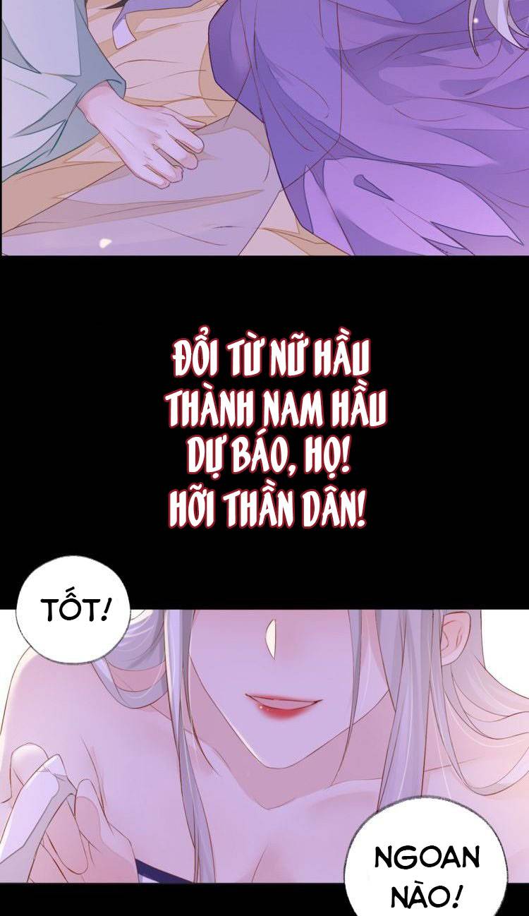 Ninita Yêu Dấu - Phần 2 Chap 0 - Next Chap 1