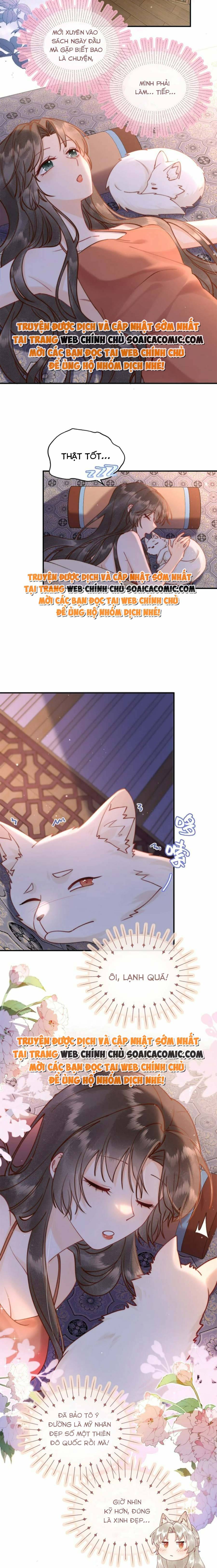 Ninita Yêu Dấu - Phần 2 Chap 1018.7 - Next Chap 1019.7