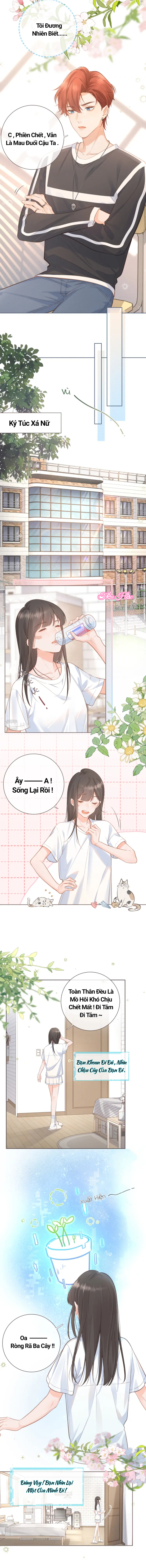 Ninita Yêu Dấu - Phần 2 Chap 1022.4 - Next Chap 1023.4