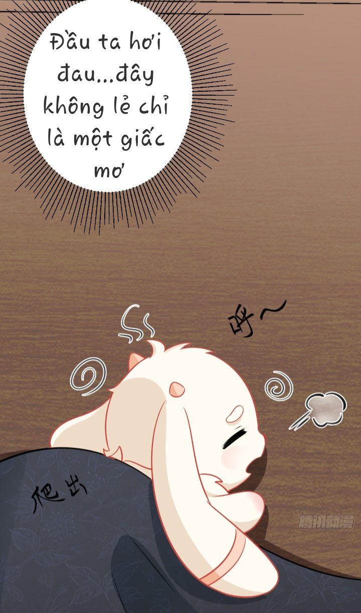 Ninita Yêu Dấu - Phần 2 Chap 1030.6 - Next Chap 1031.6