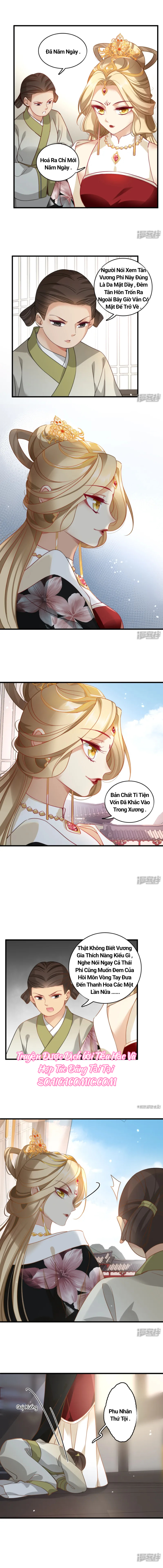 Ninita Yêu Dấu - Phần 2 Chap 1062.3 - Next Chap 1063.3