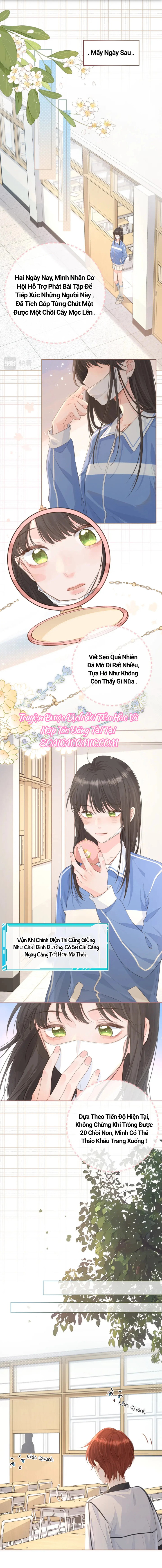 Ninita Yêu Dấu - Phần 2 Chap 1067.9 - Next Chap 1068.9