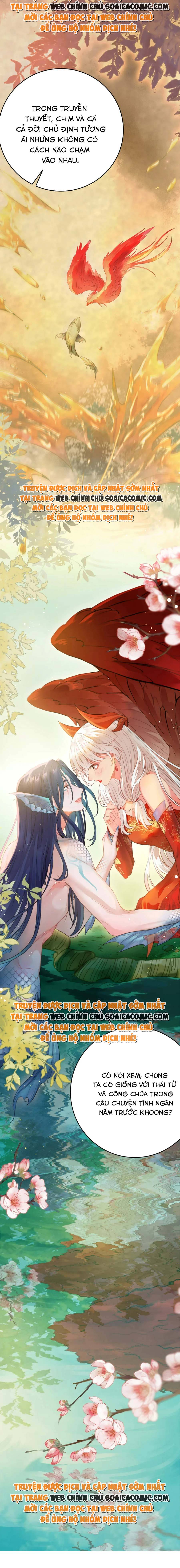 Ninita Yêu Dấu - Phần 2 Chap 1072.2 - Next Chap 1073.2