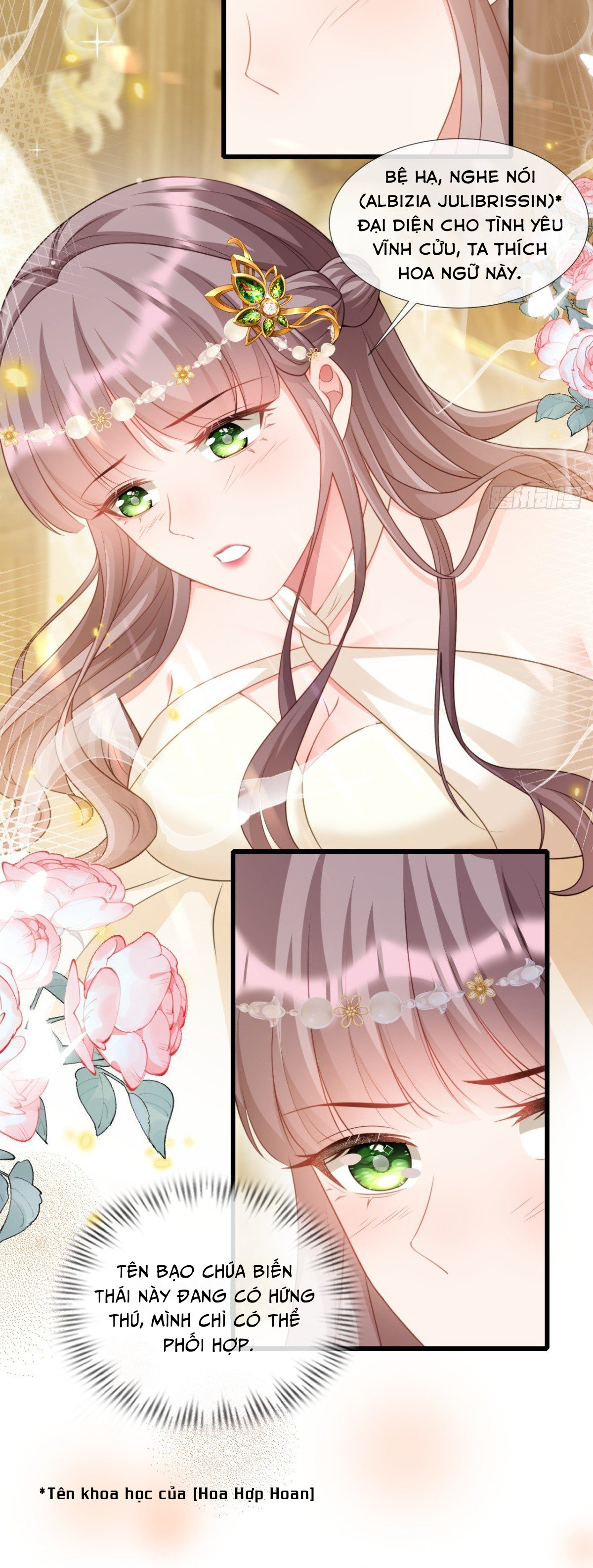 Ninita Yêu Dấu - Phần 2 Chap 1098.1 - Next Chap 1099.1