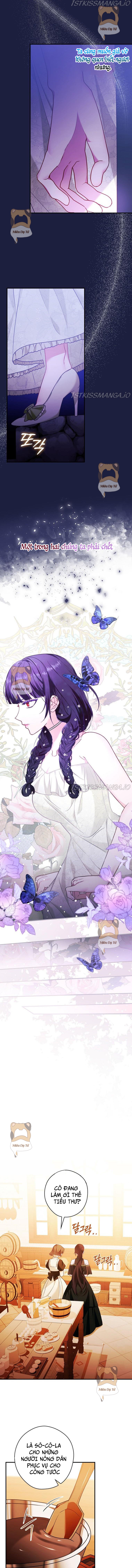 Ninita Yêu Dấu - Phần 2 Chap 1098.4 - Next Chap 1099.4