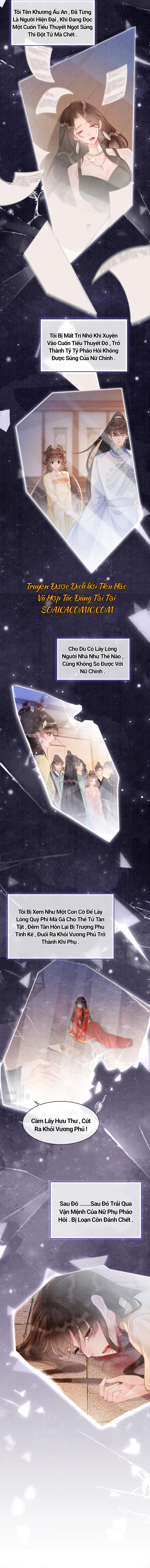 Ninita Yêu Dấu - Phần 2 Chap 1126.5 - Next Chap 1127.5