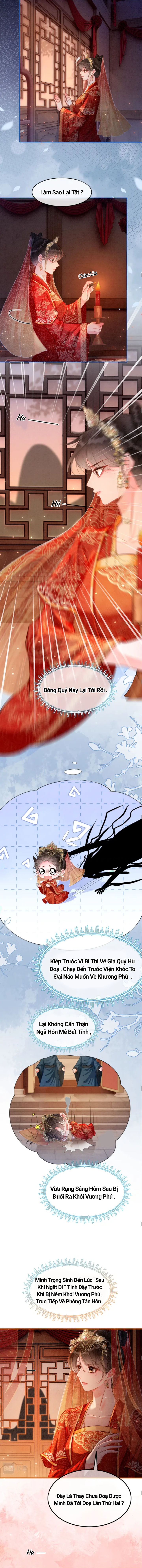 Ninita Yêu Dấu - Phần 2 Chap 1126.5 - Next Chap 1127.5