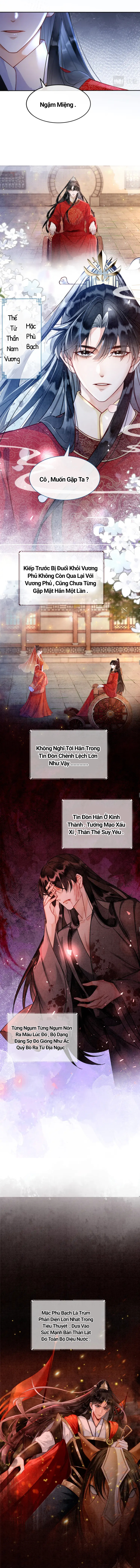 Ninita Yêu Dấu - Phần 2 Chap 1126.5 - Next Chap 1127.5