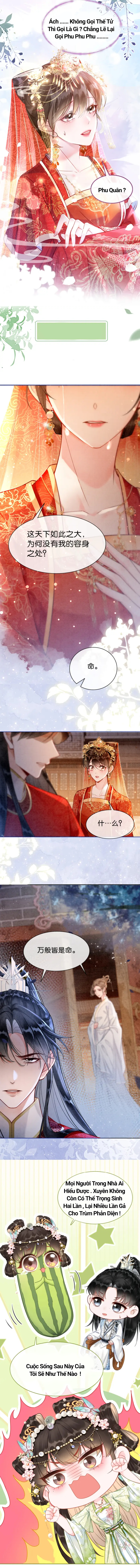 Ninita Yêu Dấu - Phần 2 Chap 1126.5 - Next Chap 1127.5