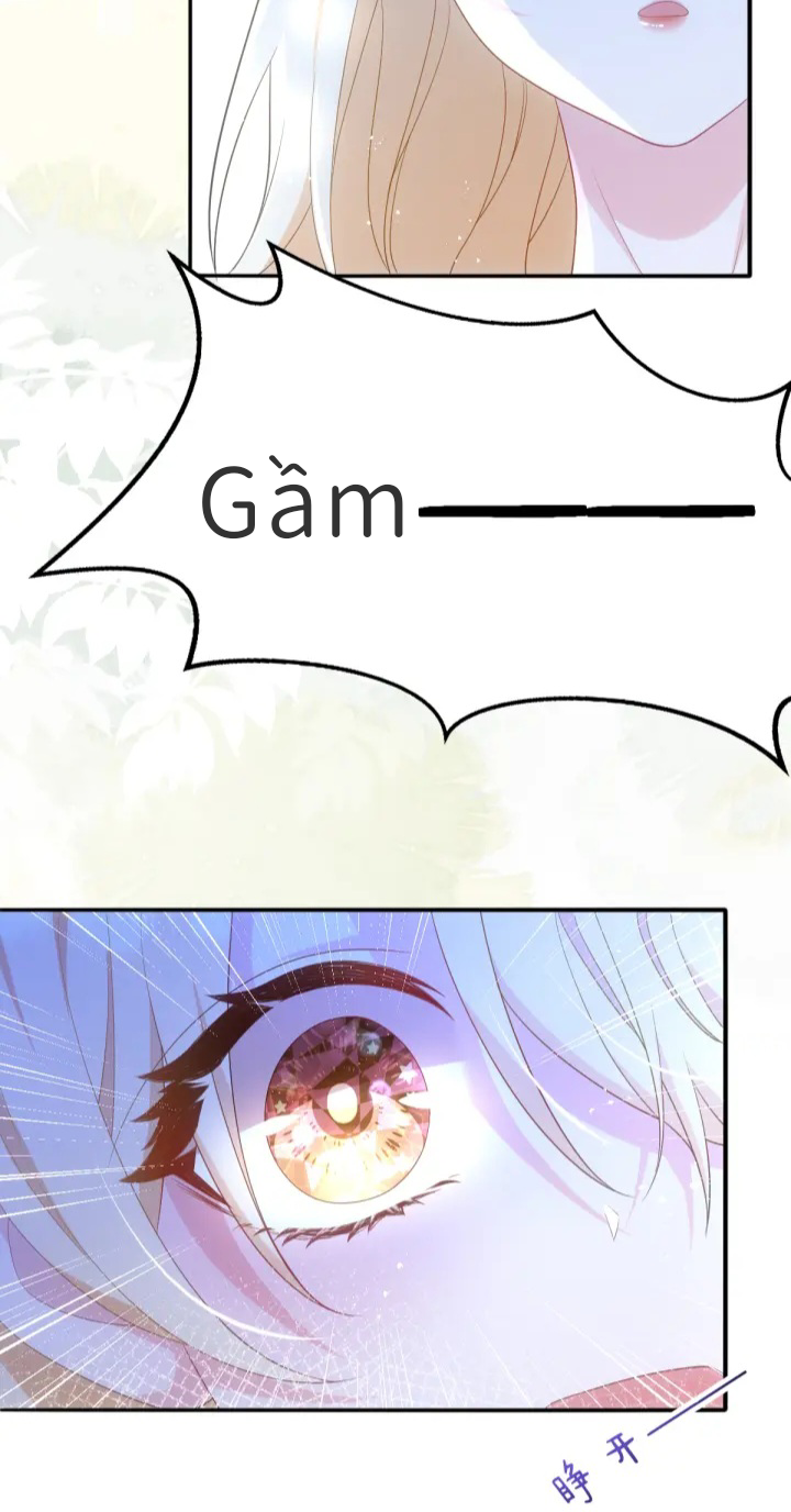 Ninita Yêu Dấu - Phần 2 Chap 1126.6 - Next Chap 1127.6