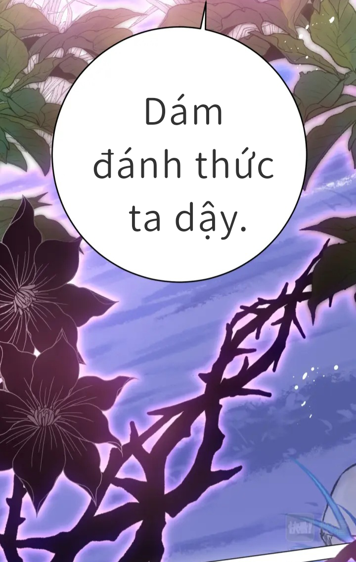 Ninita Yêu Dấu - Phần 2 Chap 1128.5 - Next Chap 1129.5