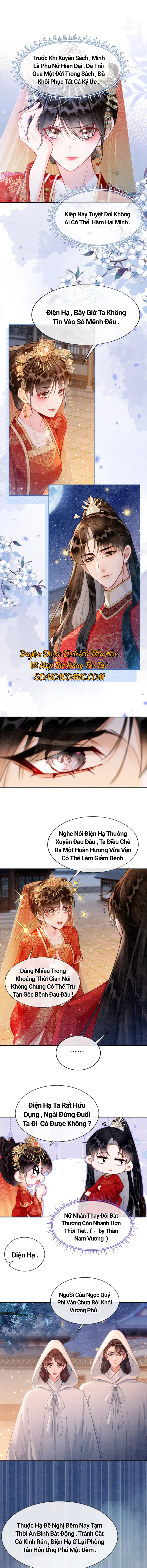 Ninita Yêu Dấu - Phần 2 Chap 1129.3 - Next Chap 1130.3