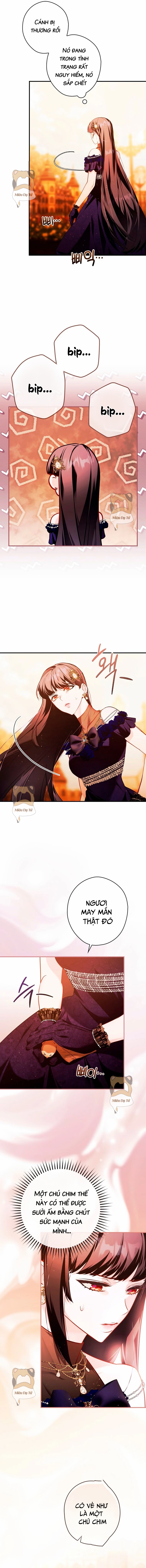 Ninita Yêu Dấu - Phần 2 Chap 1129.9 - Next Chap 1130.9