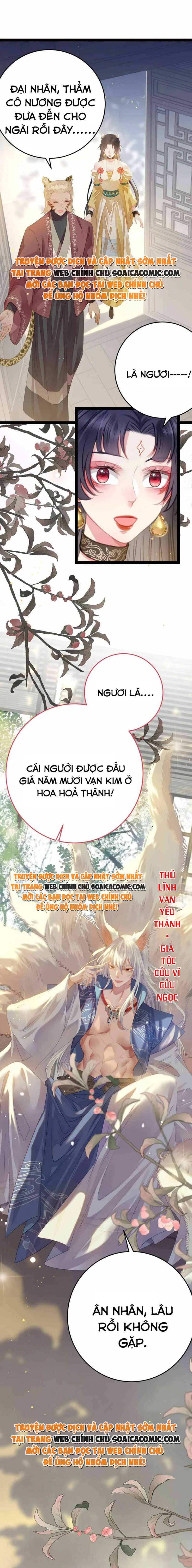 Ninita Yêu Dấu - Phần 2 Chap 1130.8 - Next Chap 1131.8