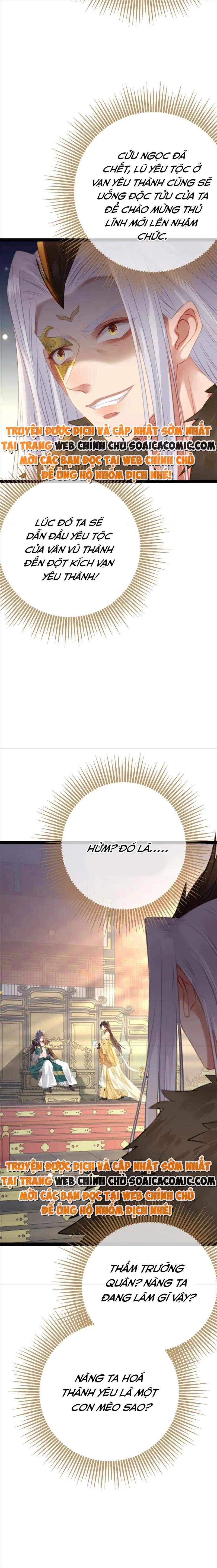 Ninita Yêu Dấu - Phần 2 Chap 1147.5 - Next Chap 1148.5