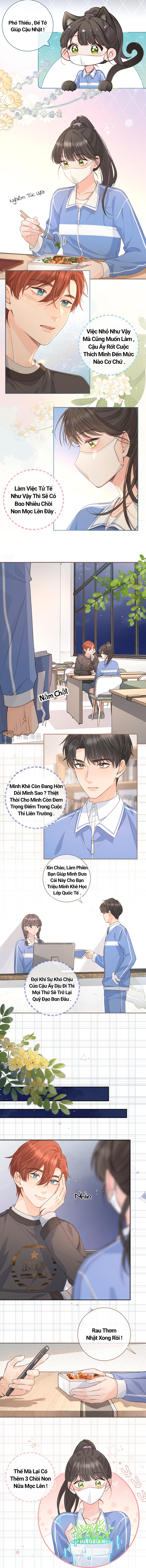 Ninita Yêu Dấu - Phần 2 Chap 1165.1 - Next Chap 1166.1