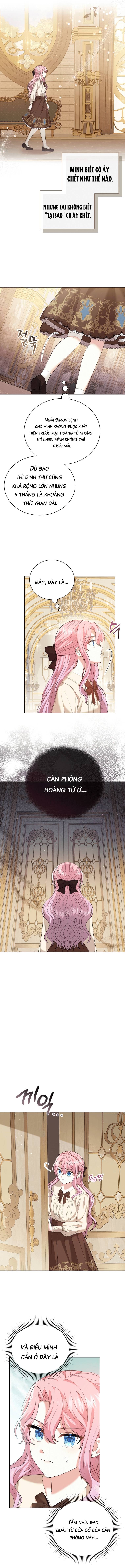 Ninita Yêu Dấu - Phần 2 Chap 1170.3 - Next Chap 1171.3