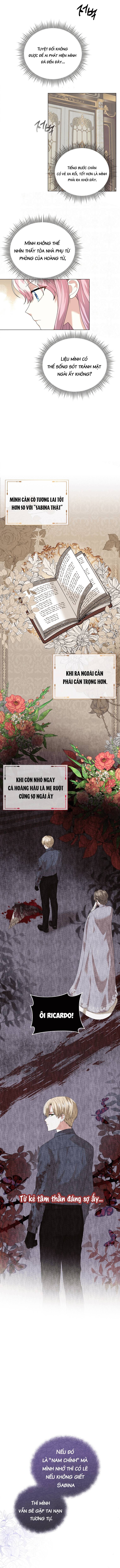 Ninita Yêu Dấu - Phần 2 Chap 1170.3 - Next Chap 1171.3