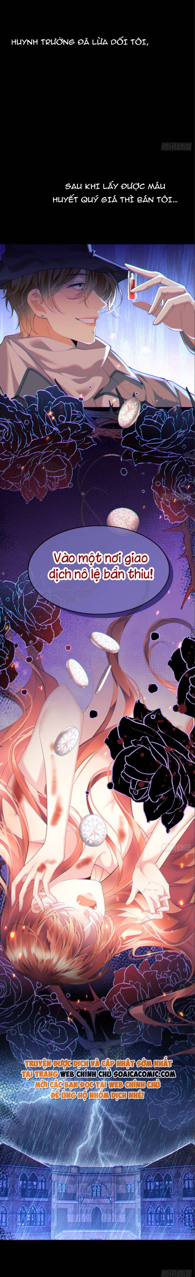 Ninita Yêu Dấu - Phần 2 Chap 1170.8 - Next Chap 1171.8