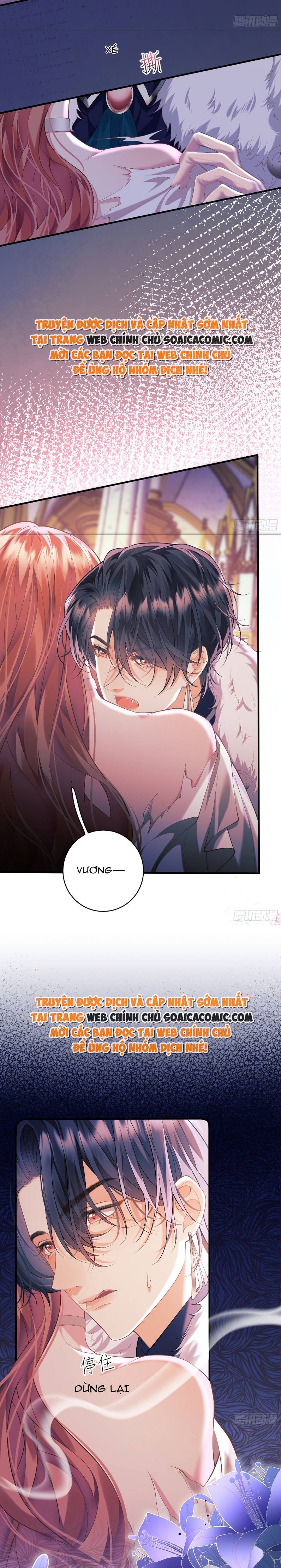 Ninita Yêu Dấu - Phần 2 Chap 1170.9 - Next Chap 1171.9