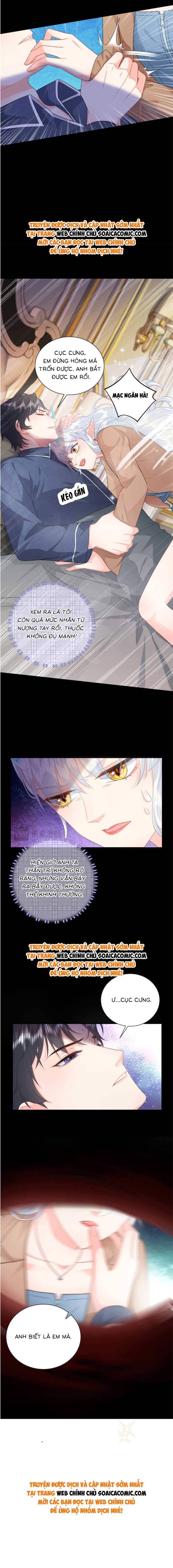 Ninita Yêu Dấu - Phần 2 Chap 1179.2 - Next Chap 1180.2