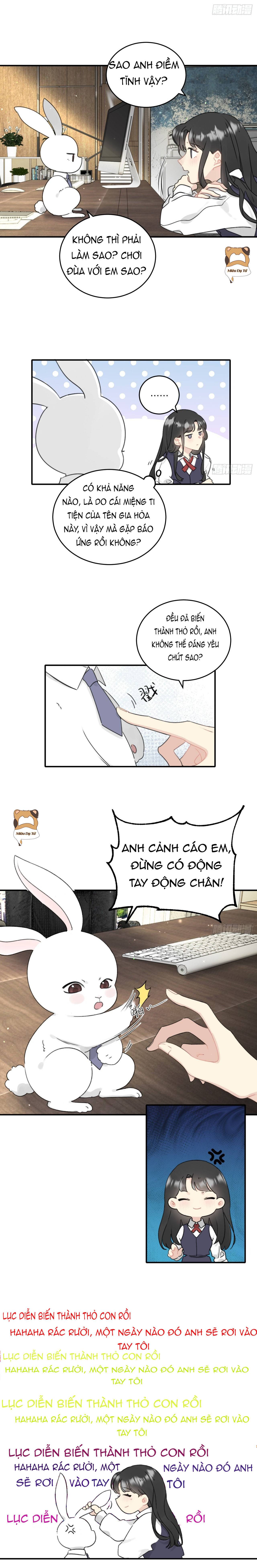 Ninita Yêu Dấu - Phần 2 Chap 1182.2 - Next Chap 1183.2