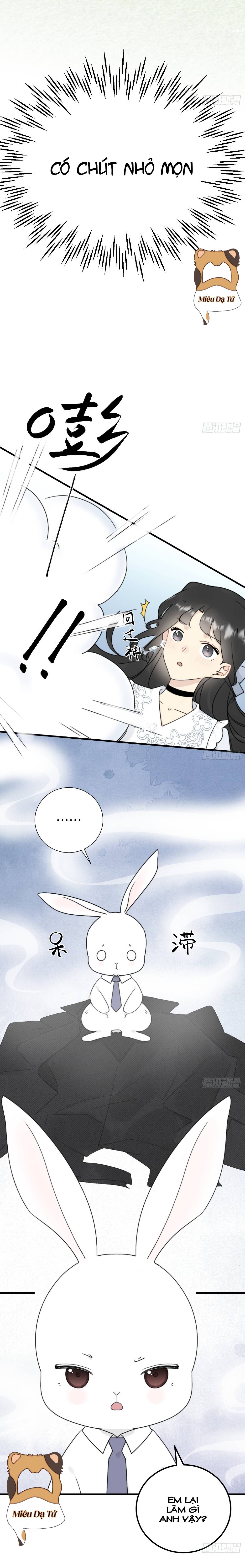 Ninita Yêu Dấu - Phần 2 Chap 1203.9 - Next Chap 1204.9