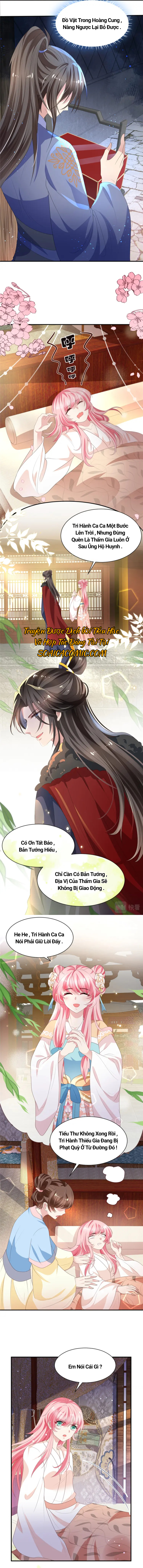 Ninita Yêu Dấu - Phần 2 Chap 1215.6 - Next Chap 1216.6