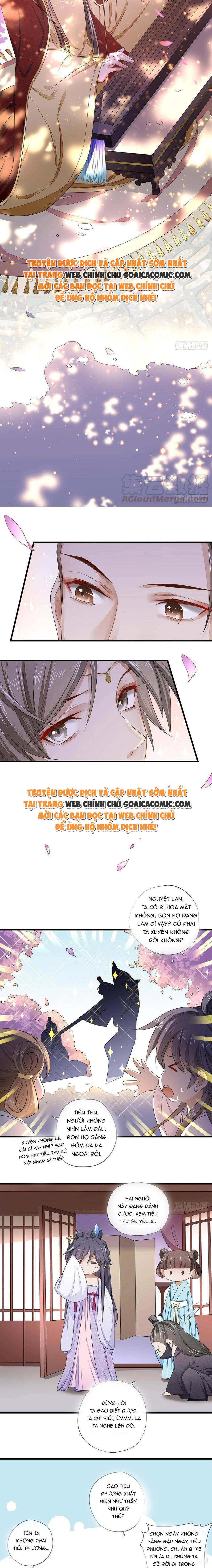 Ninita Yêu Dấu - Phần 2 Chap 1229.8 - Next Chap 1230.8