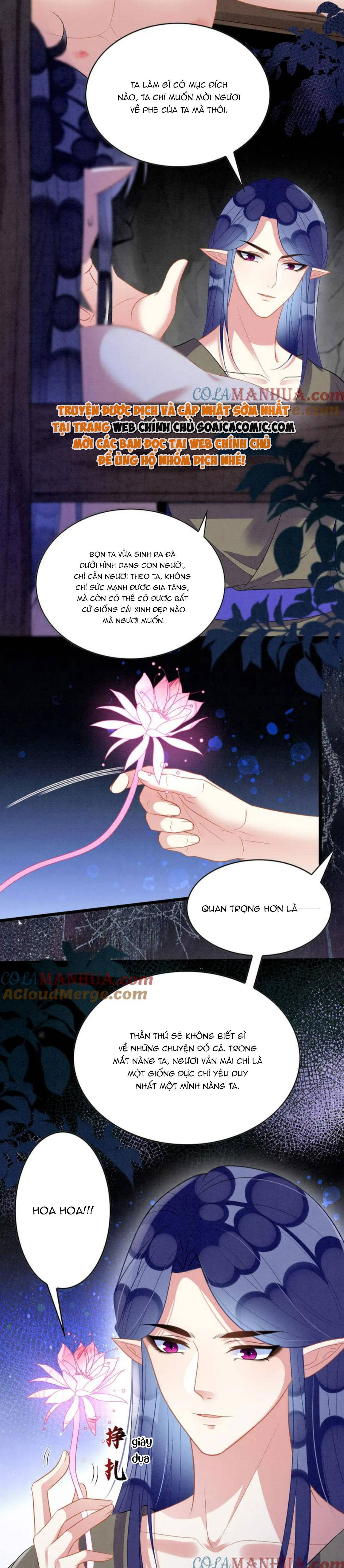 Ninita Yêu Dấu - Phần 2 Chap 1241.2 - Next Chap 1242.2
