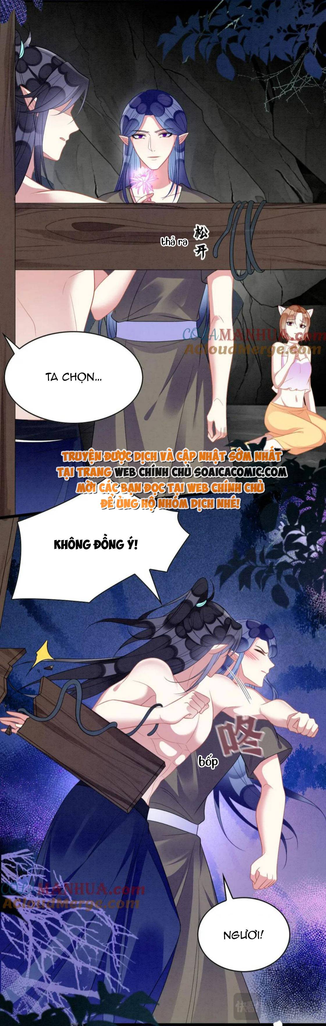 Ninita Yêu Dấu - Phần 2 Chap 1241.2 - Next Chap 1242.2
