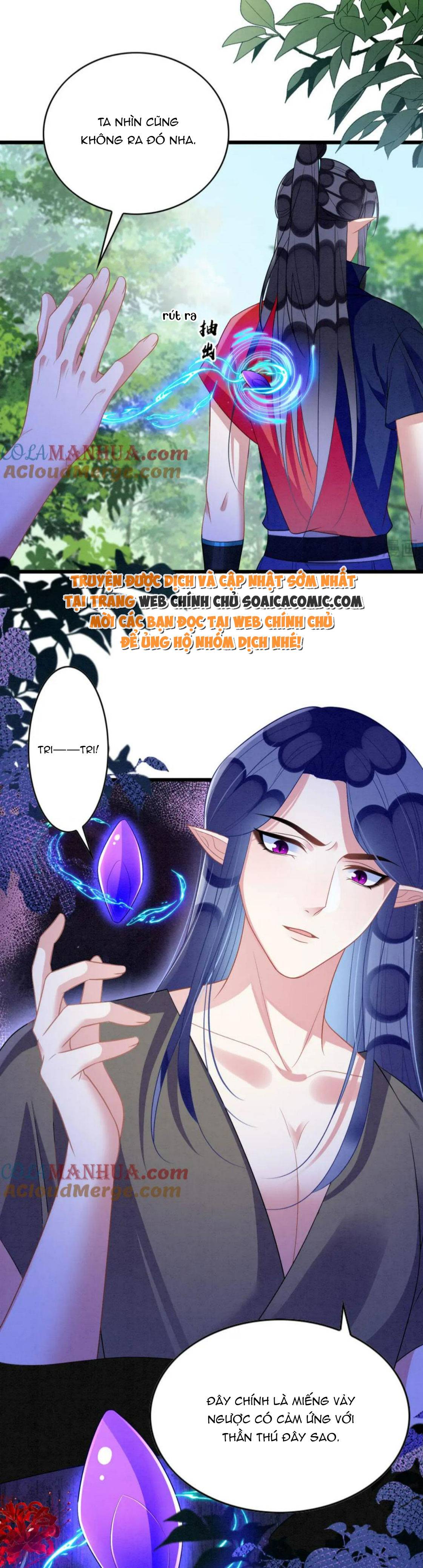Ninita Yêu Dấu - Phần 2 Chap 1241.2 - Next Chap 1242.2