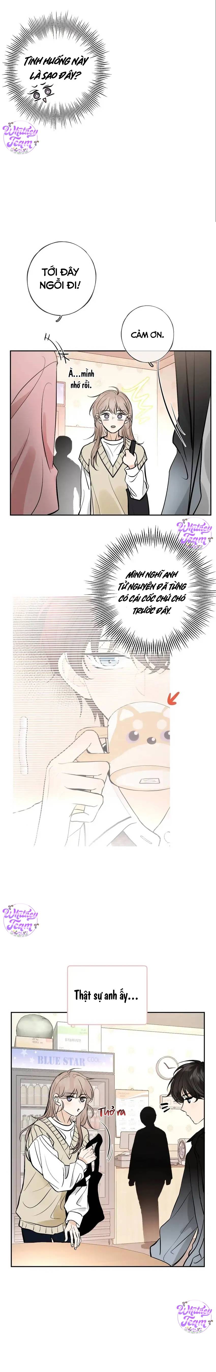 Ninita Yêu Dấu - Phần 2 Chap 1252.6 - Next Chap 1253.6