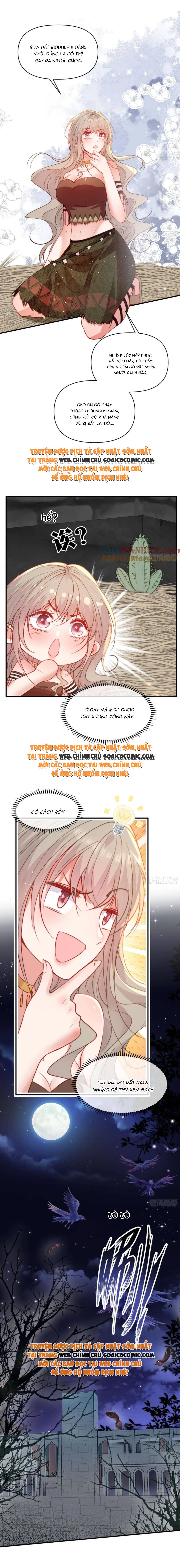 Ninita Yêu Dấu - Phần 2 Chap 1269.2 - Next Chap 1270.2