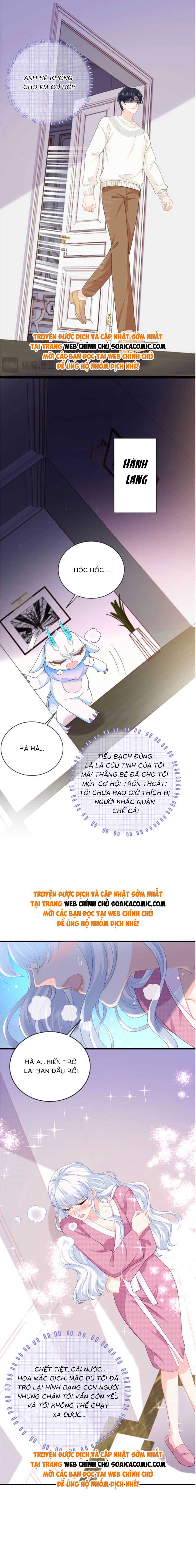 Ninita Yêu Dấu - Phần 2 Chap 1270.2 - Next Chap 1271.2