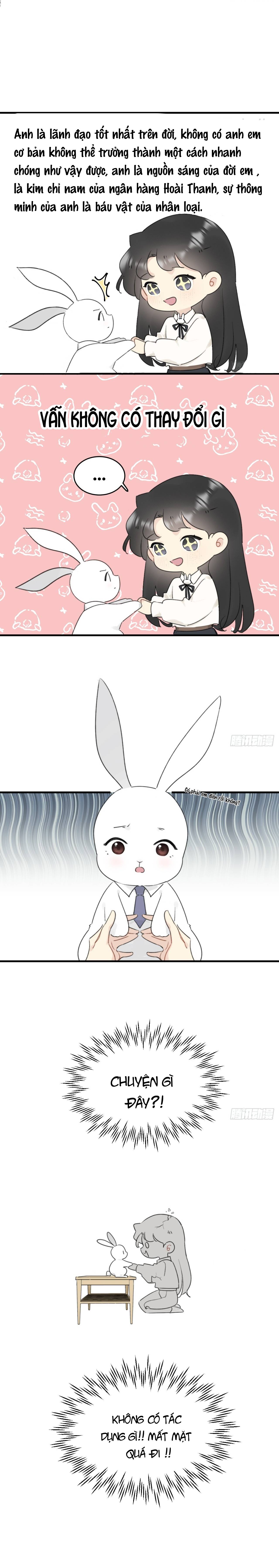 Ninita Yêu Dấu - Phần 2 Chap 1271.1 - Next Chap 1272.1