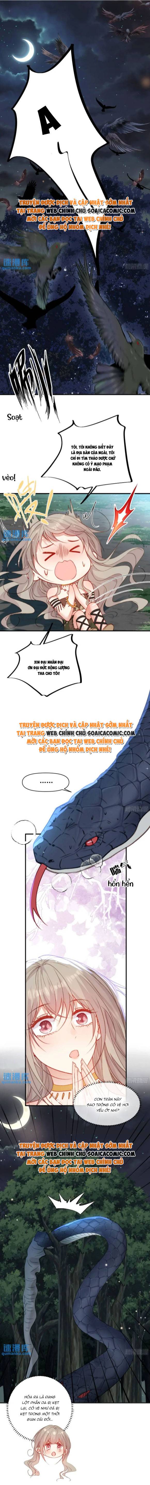 Ninita Yêu Dấu - Phần 2 Chap 1285.2 - Next Chap 1286.2