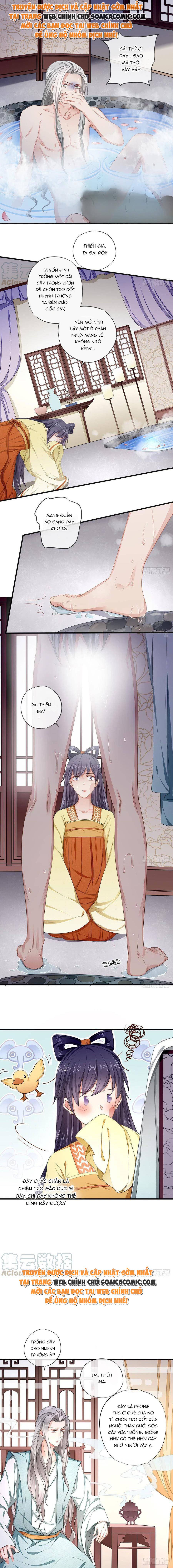 Ninita Yêu Dấu - Phần 2 Chap 1285.4 - Next Chap 1286.4