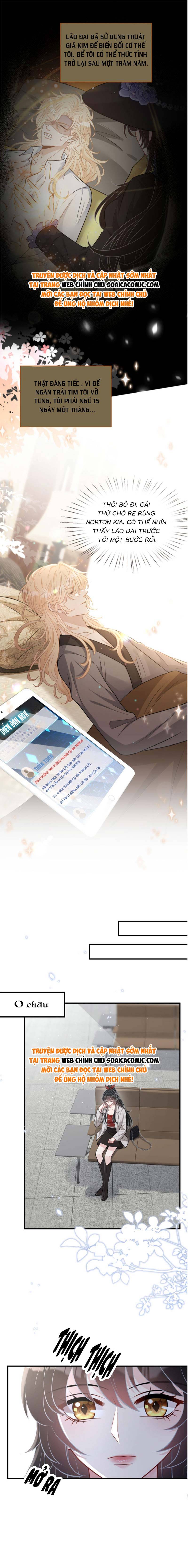 Ninita Yêu Dấu - Phần 2 Chap 1289.3 - Next Chap 1290.3