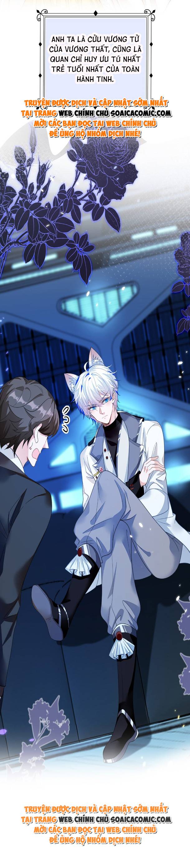 Ninita Yêu Dấu - Phần 2 Chap 1317.4 - Next Chap 1318.4