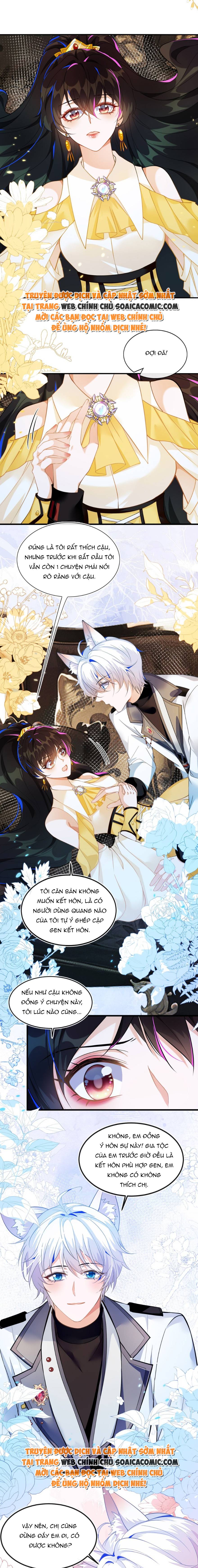 Ninita Yêu Dấu - Phần 2 Chap 1321.7 - Next Chap 1322.7