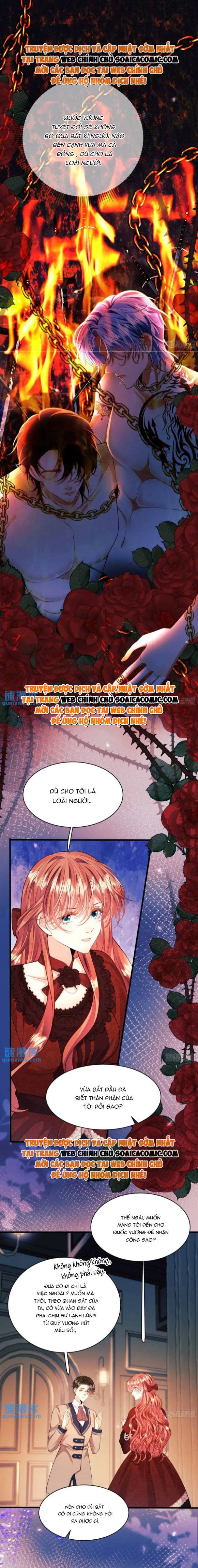 Ninita Yêu Dấu - Phần 2 Chap 1340.7 - Next Chap 1341.7