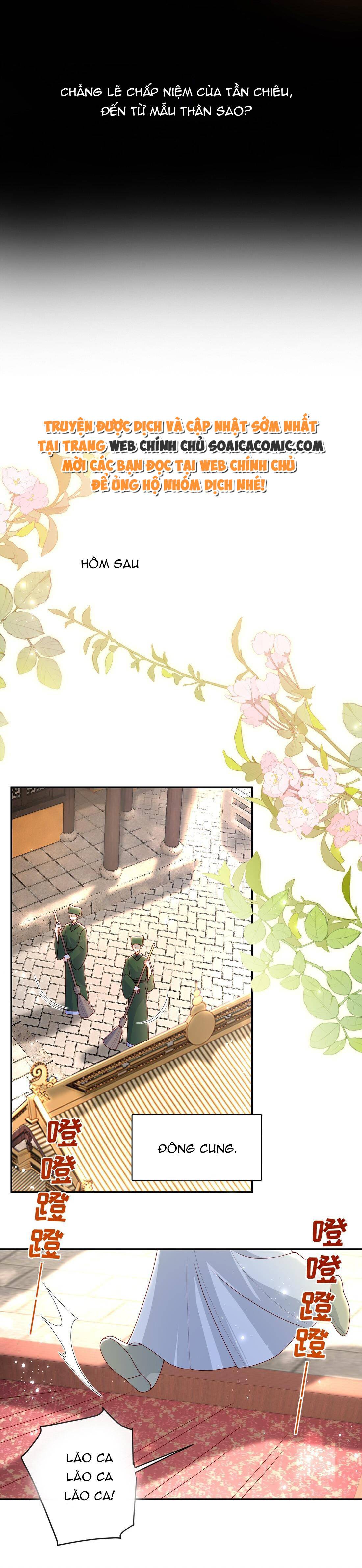 Ninita Yêu Dấu - Phần 2 Chap 1347.1 - Next Chap 1348.1