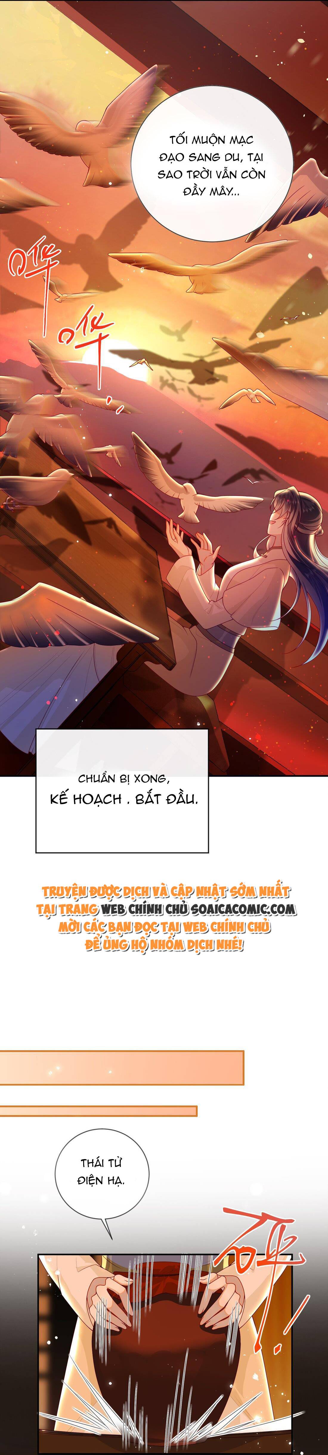 Ninita Yêu Dấu - Phần 2 Chap 1356.1 - Next Chap 1357.1