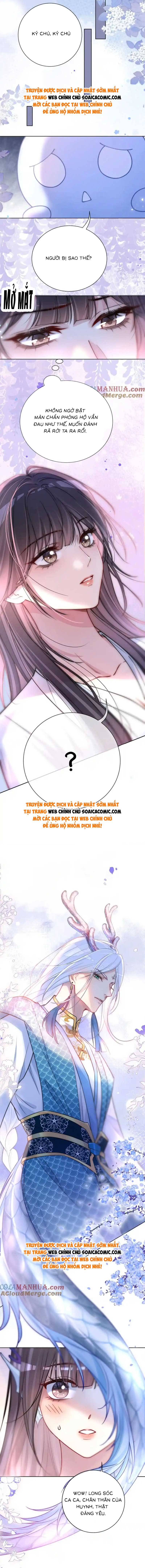 Ninita Yêu Dấu - Phần 2 Chap 1385.6 - Next Chap 1386.6